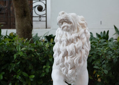 Lanzerac, Stellenbosch - lion